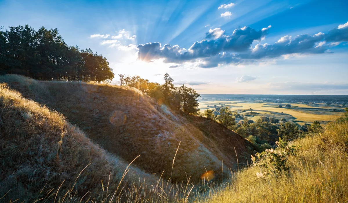 Te fakty jak złożyć sprawozdanie BDO mogą Cię zdziwić