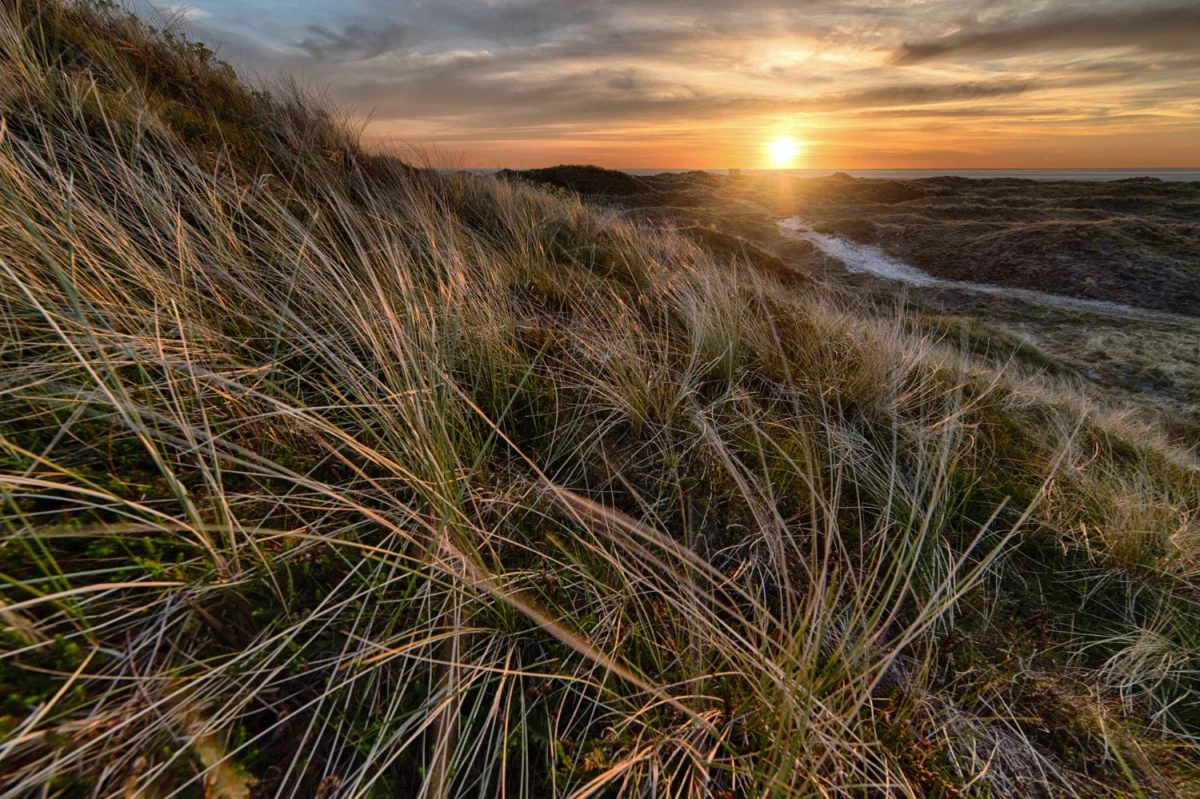 Czy są zmiany jak znaleźć dentystę w Cieszynie?