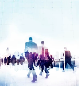 O dedykowanych aplikacjach i programach na zamówienie