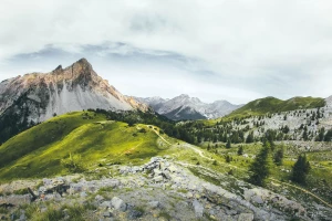 2022 czas aby lepiej  chronić środowisko