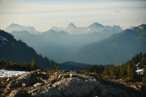 Czy można zrozumieć informatykę rano?